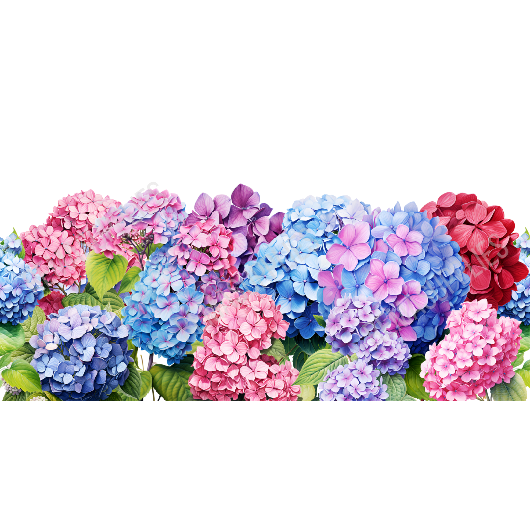 New wrap designs #501 - #600