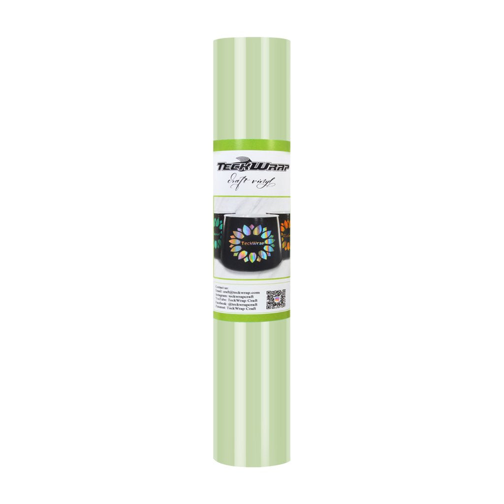 NEW TeckWrapCraft 001 series Glossy Vinyl